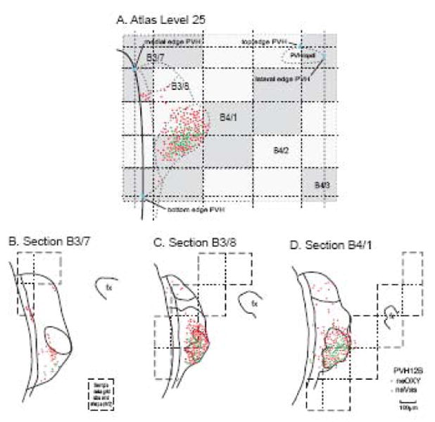 Fig. 8