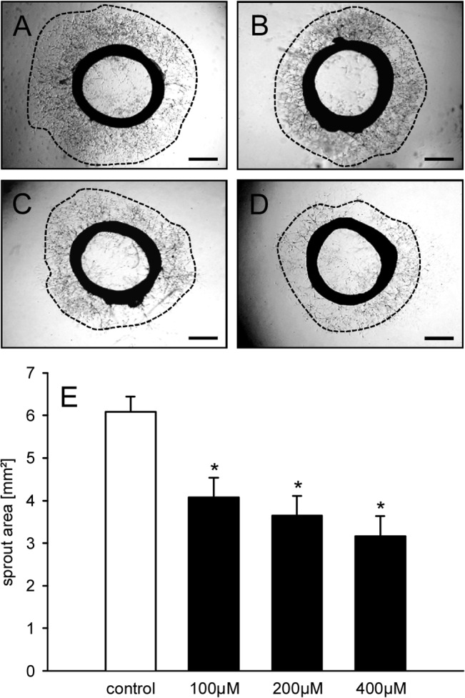 Fig 5