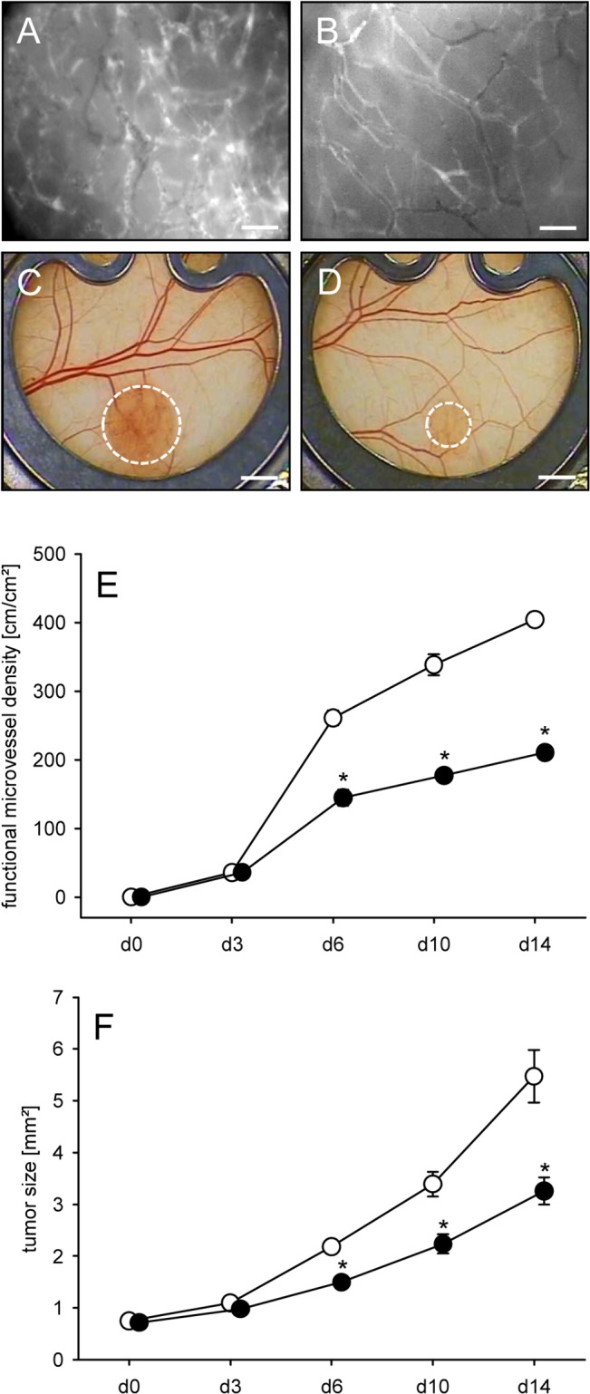 Fig 7