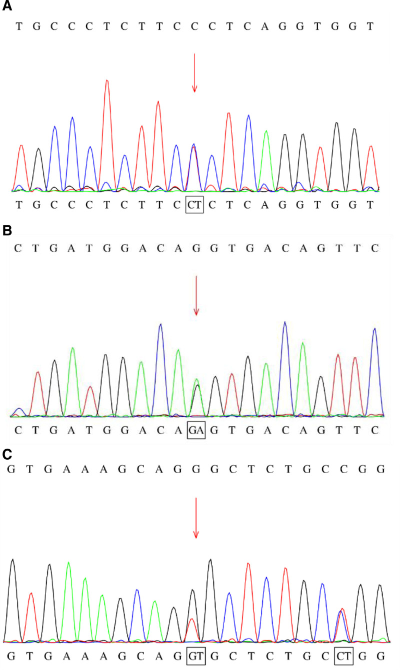 Figure 1.