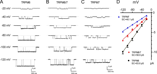 Figure 6.