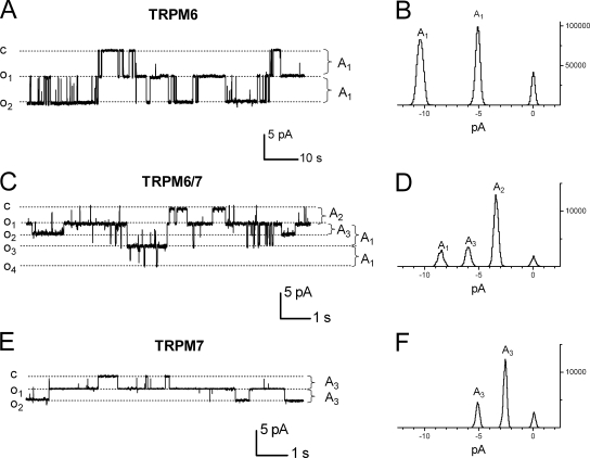 Figure 7.