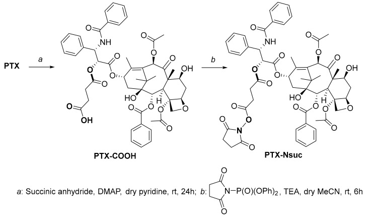 Scheme 3