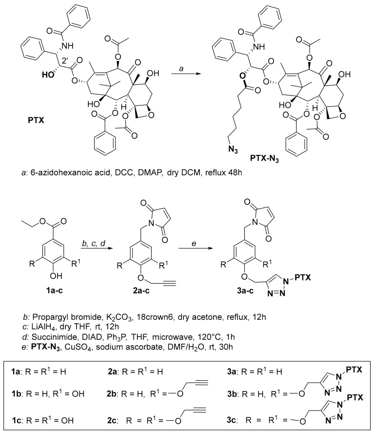 Scheme 1