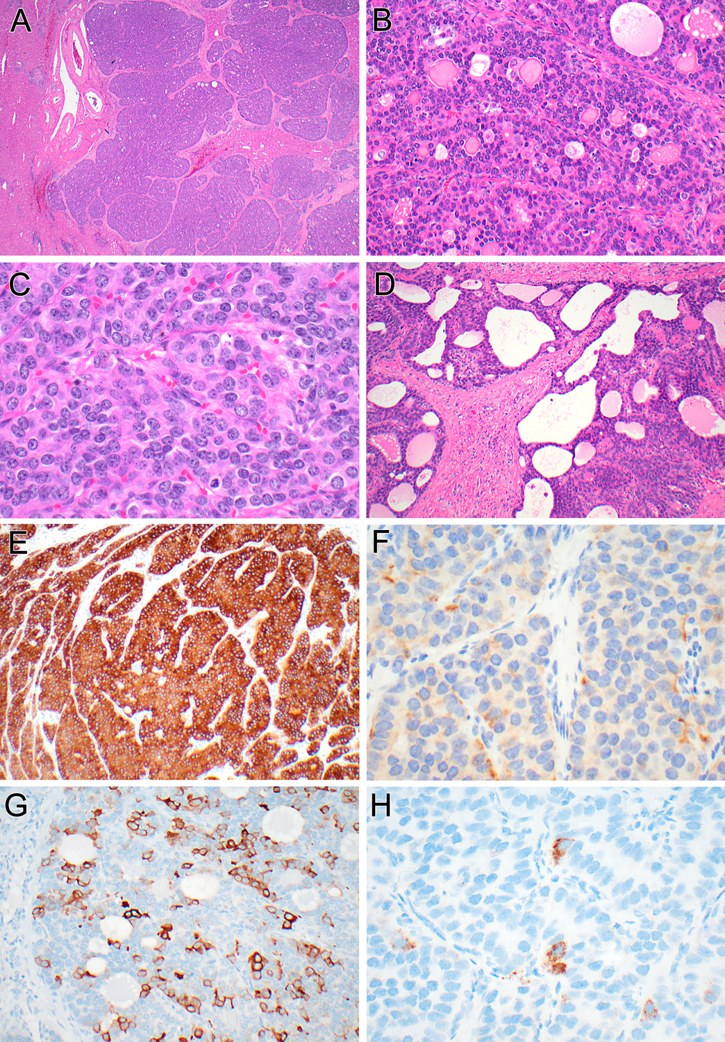 Figure 5 (Case 3):