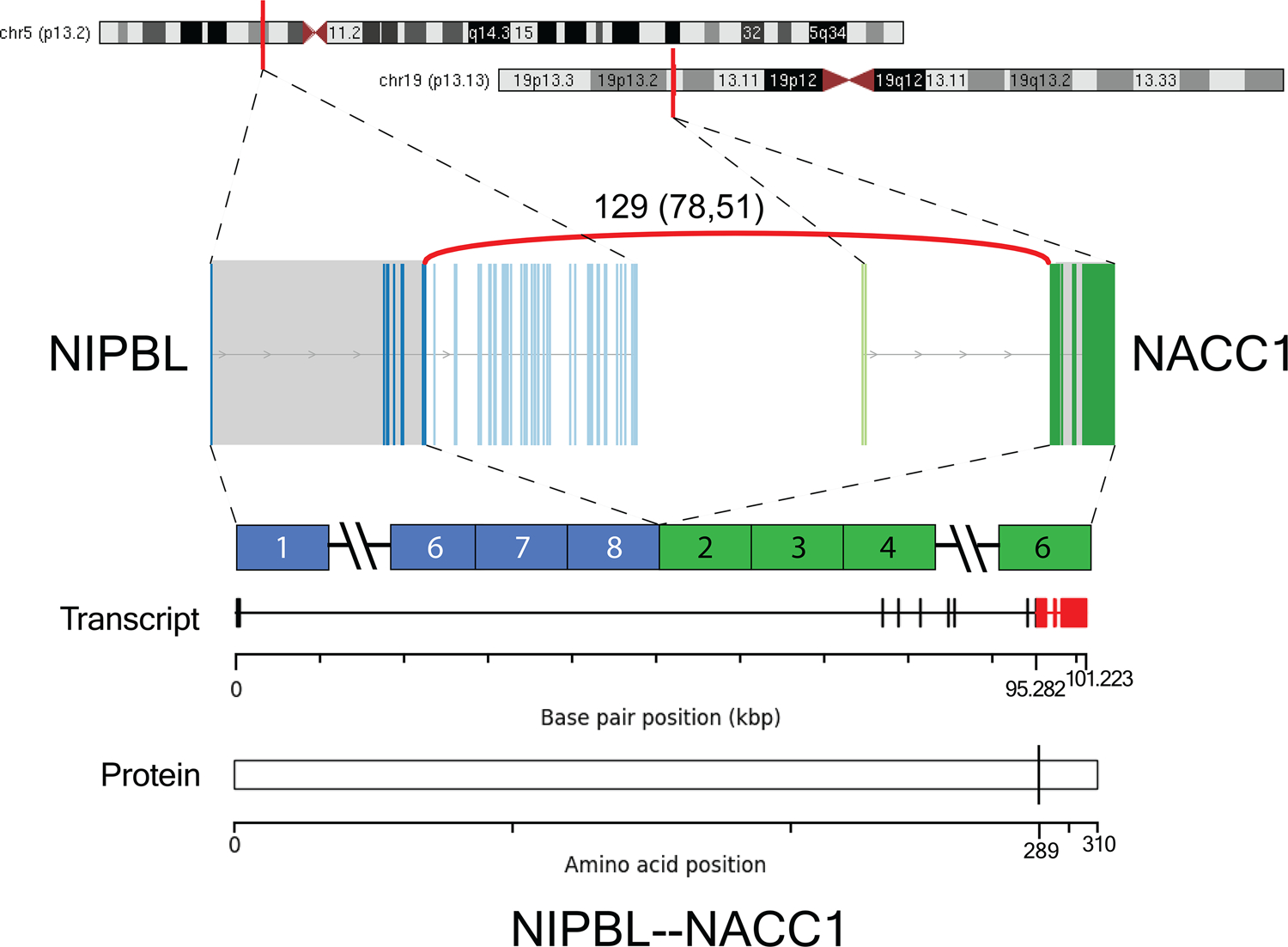 Figure 6: