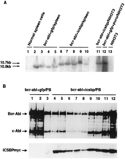 FIG. 7