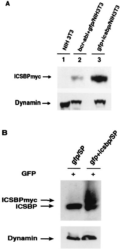 FIG. 9