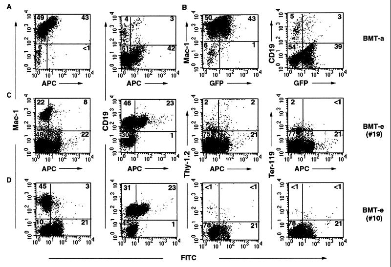 FIG. 6