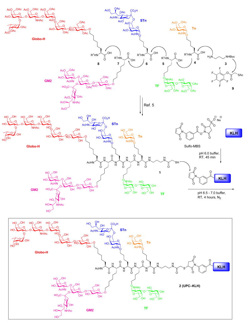 Scheme 1