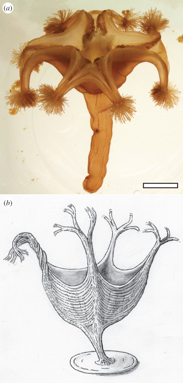 Figure 3.