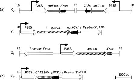 FIGURE 1.