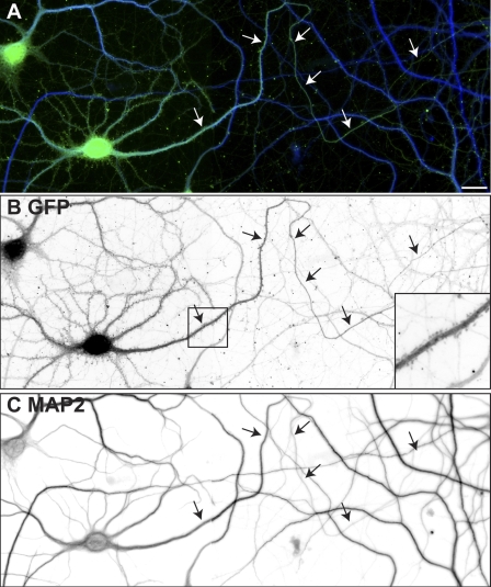 Figure 4.