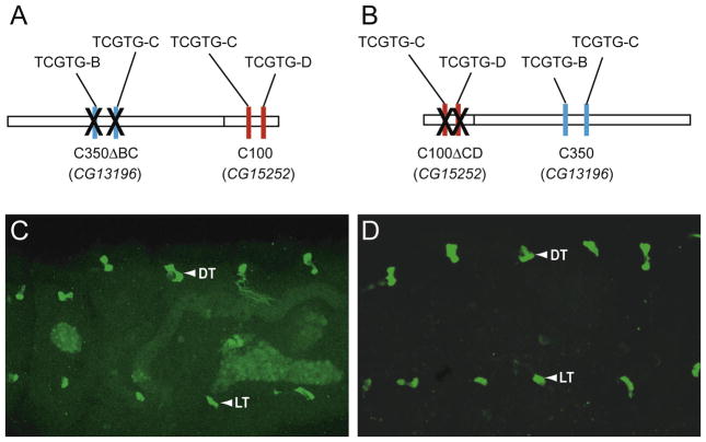 Fig. 7