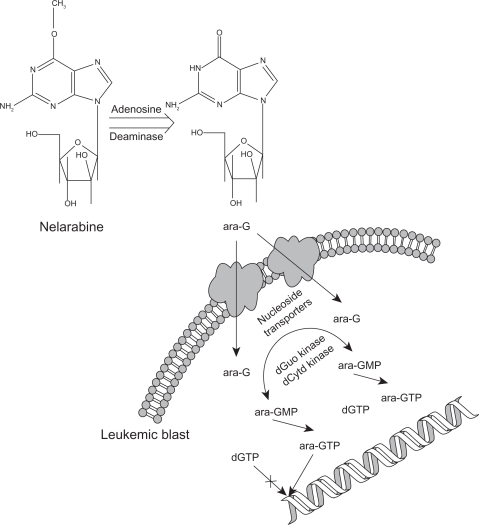 Figure 1.