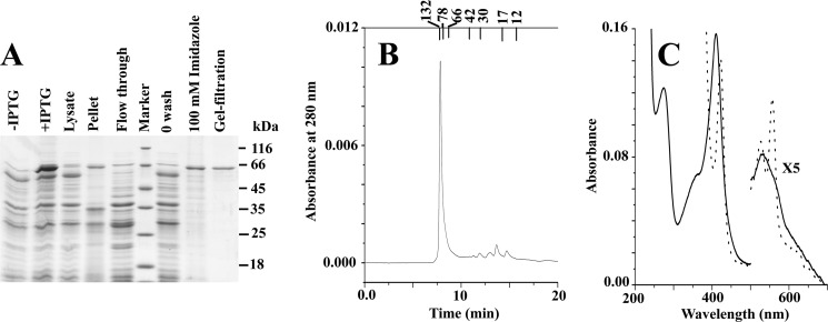 FIGURE 3.