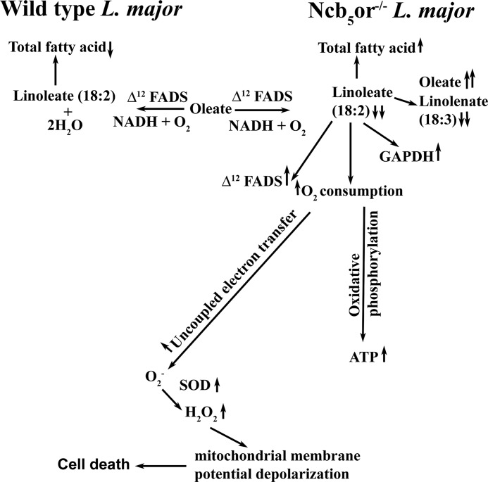 FIGURE 7.