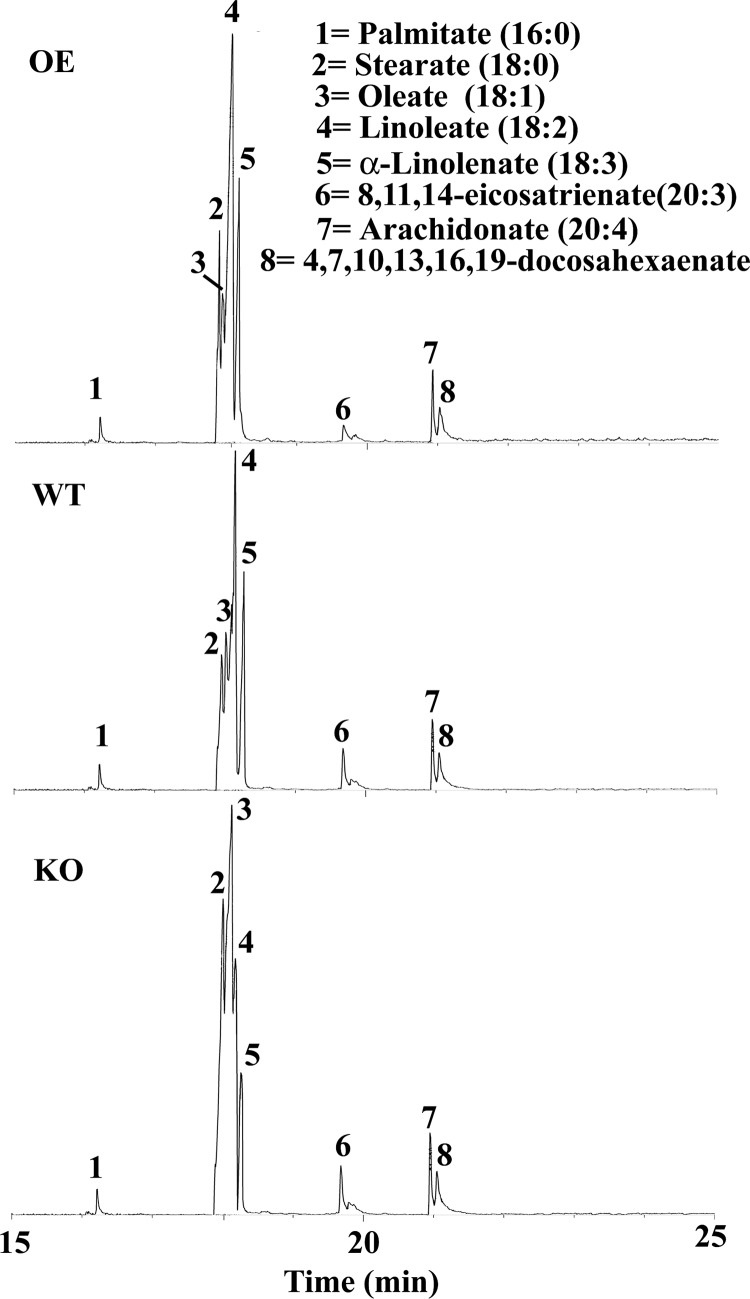 FIGURE 4.