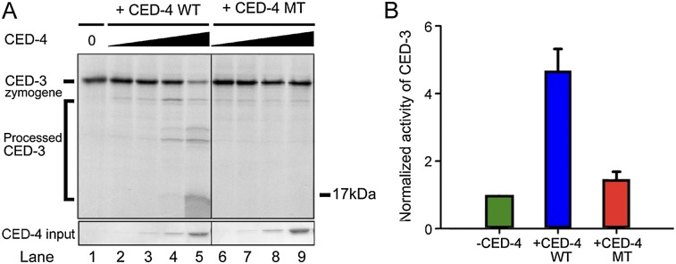 Figure 6.