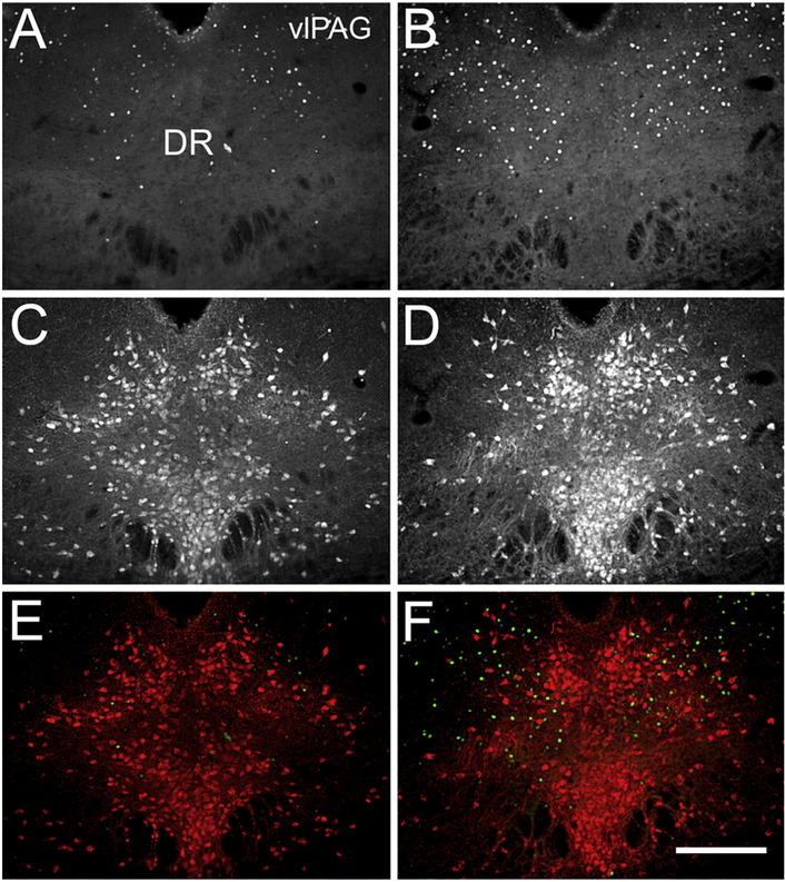 Figure 6: