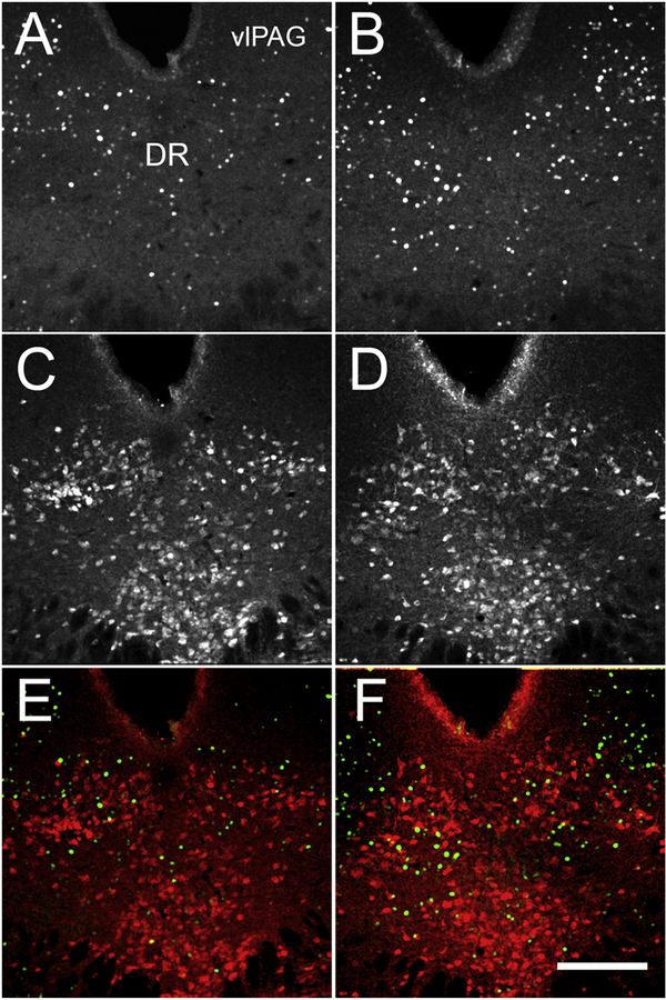 Figure 5: