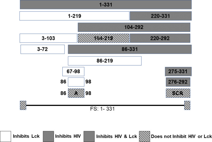 Figure 4