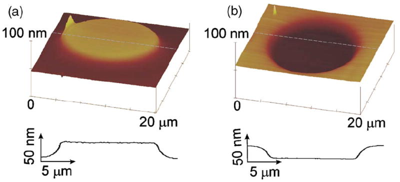 FIG. 3