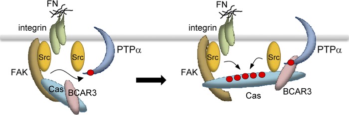 Fig 9