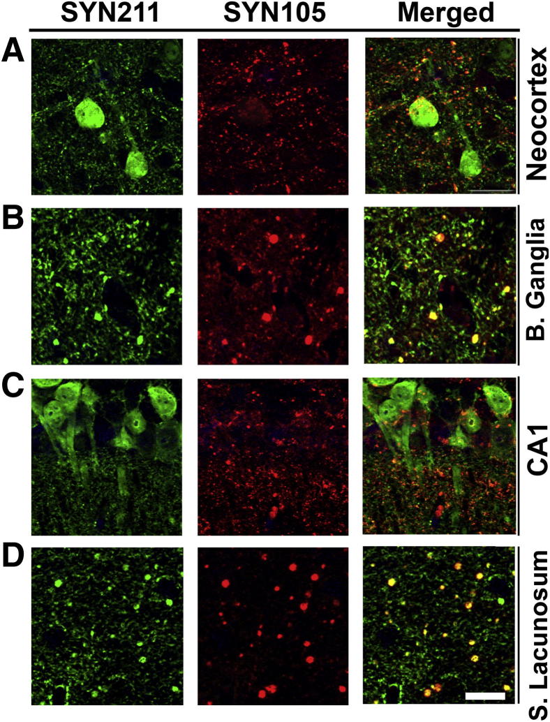Figure 5