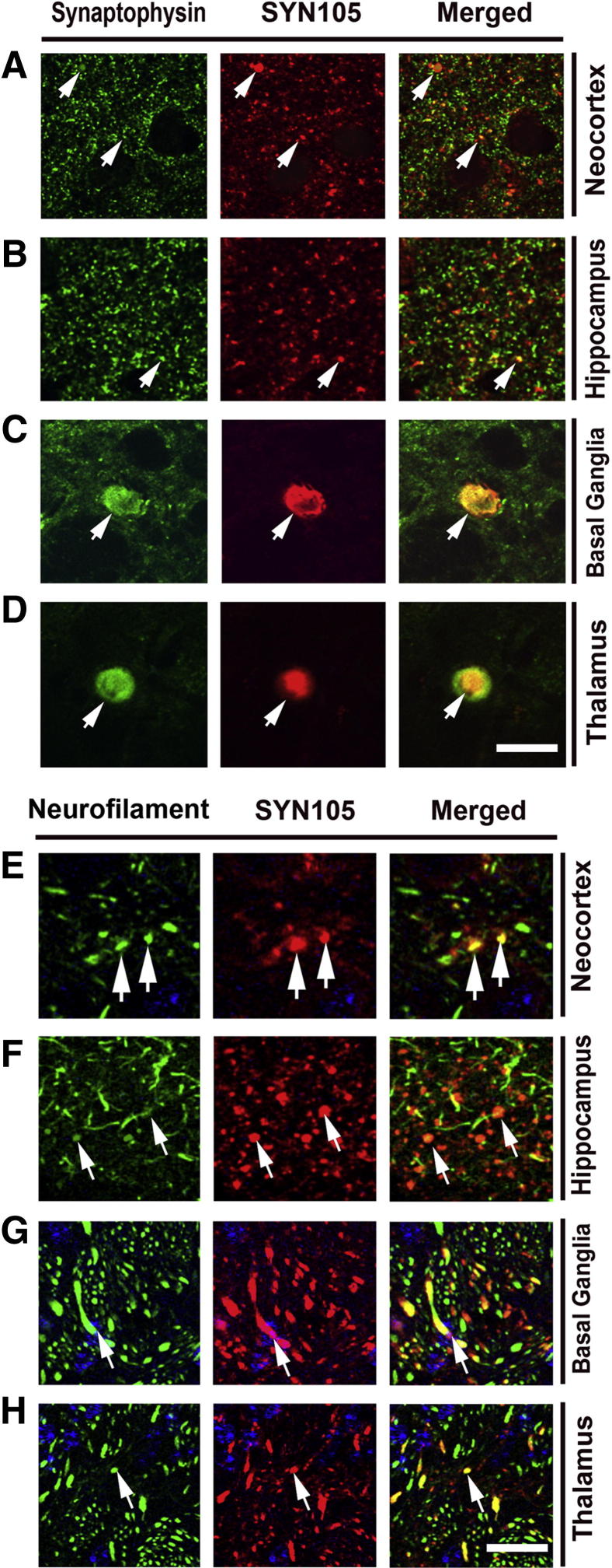 Figure 6
