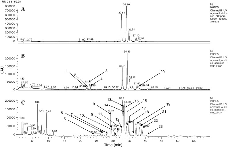 Fig. 1