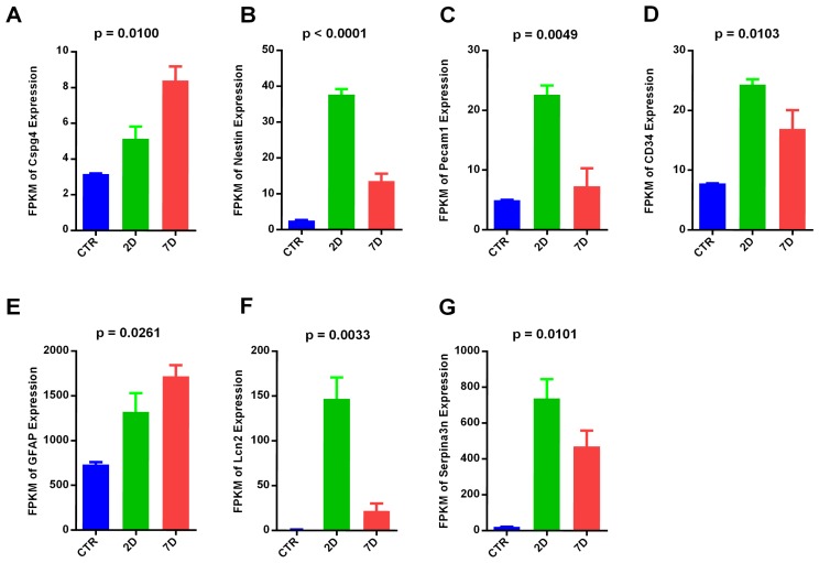 Figure 7