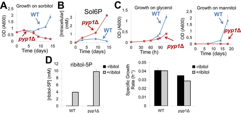 Figure 4.