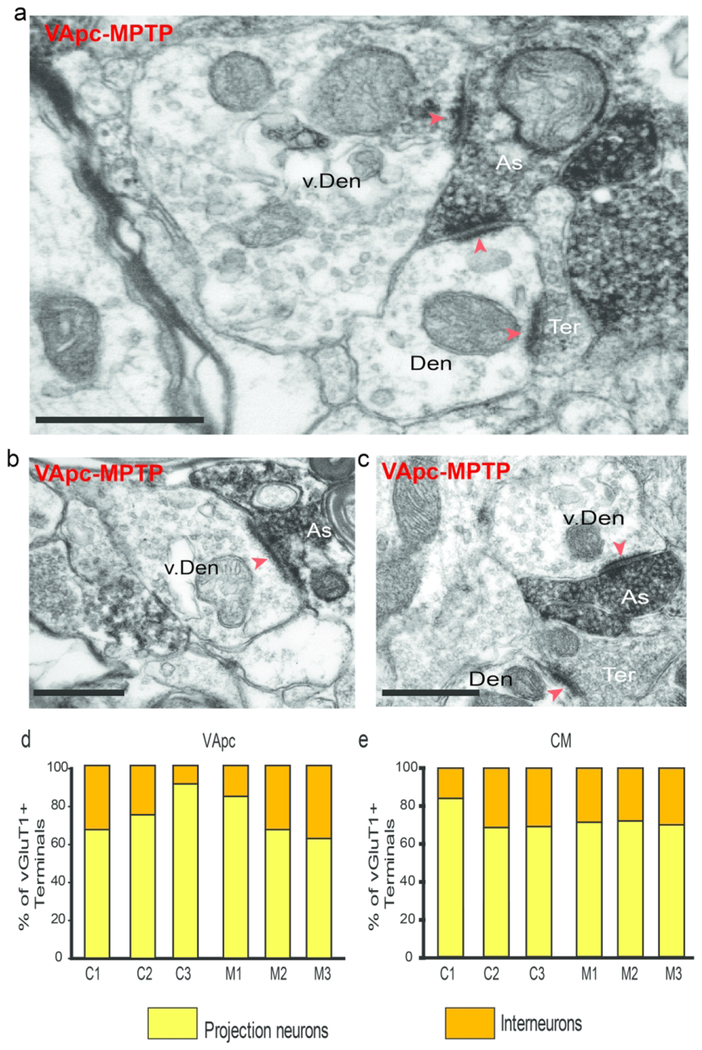 Fig.8