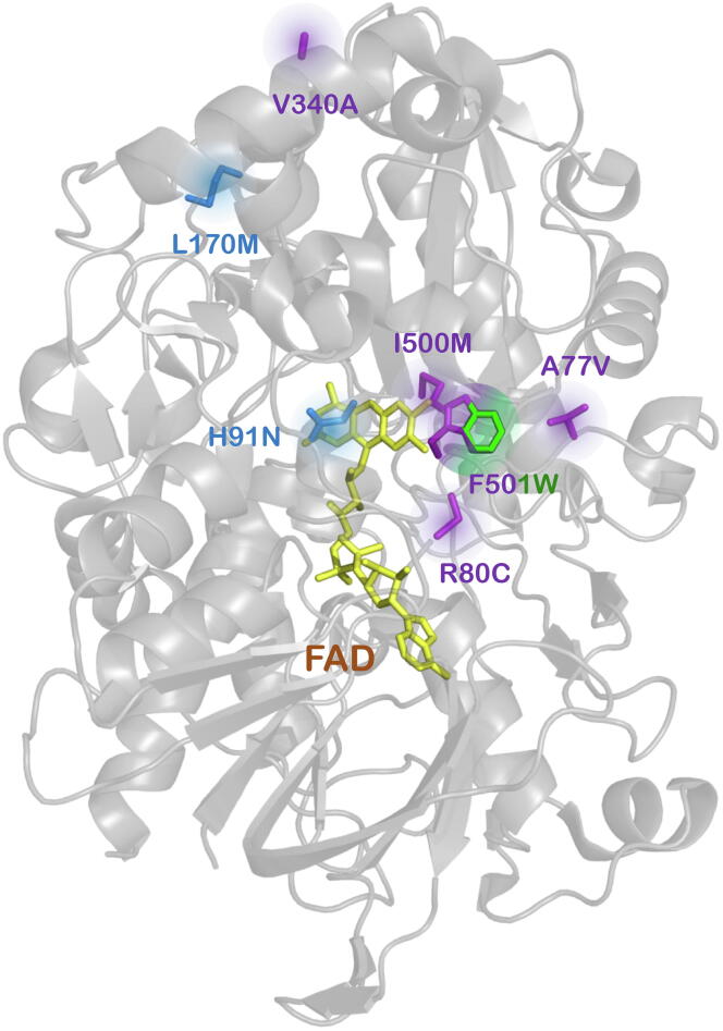 Fig. 6