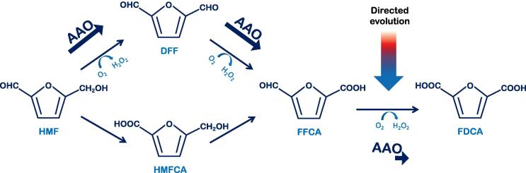 Fig. 8