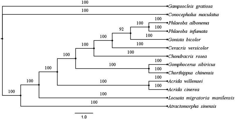 Figure 1.