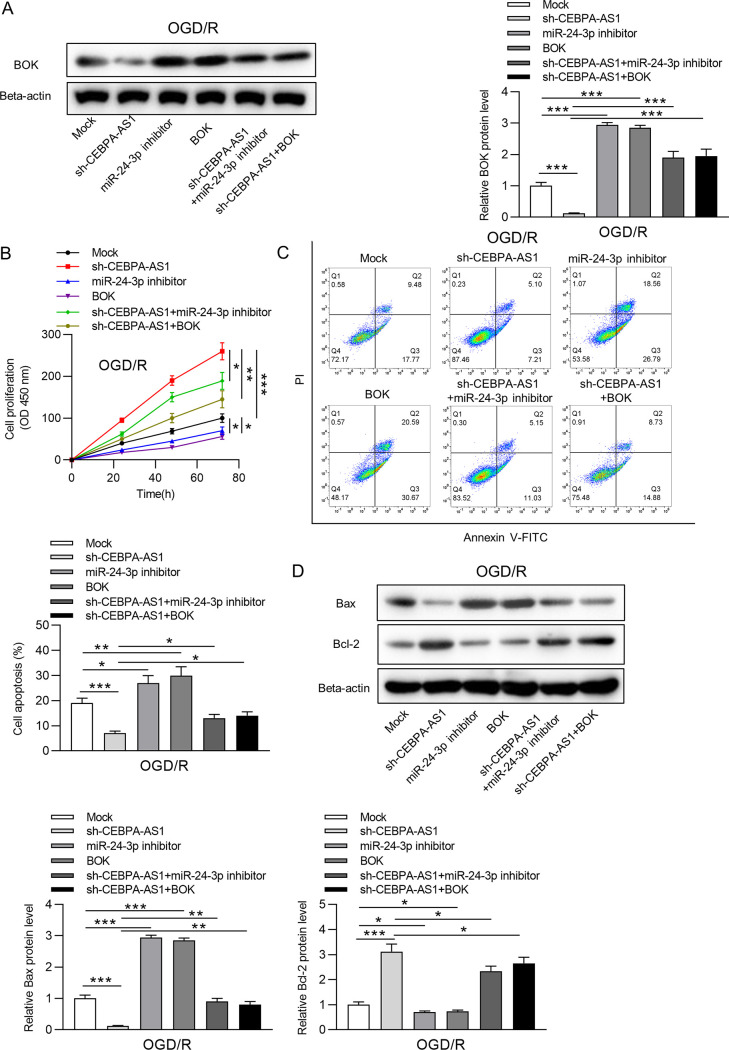 FIG 6