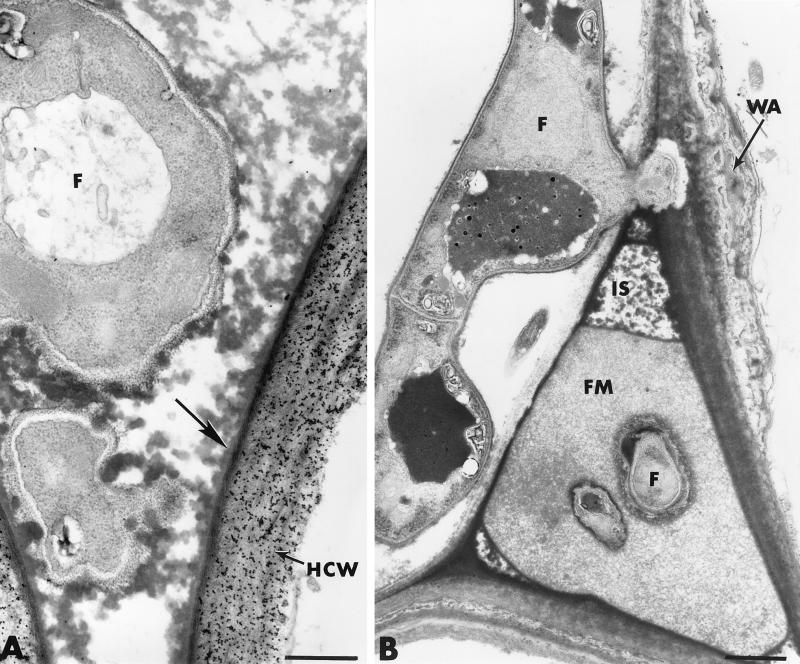 FIG. 8.