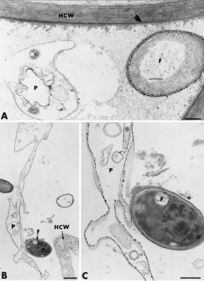 FIG. 11.