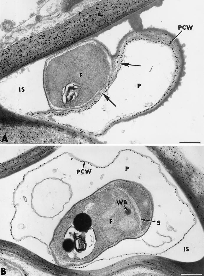 FIG. 10.