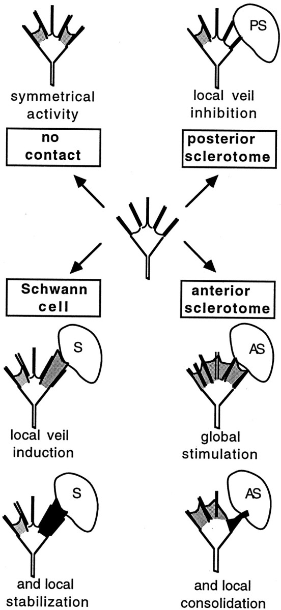 Fig. 9.