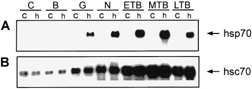 Fig 1.