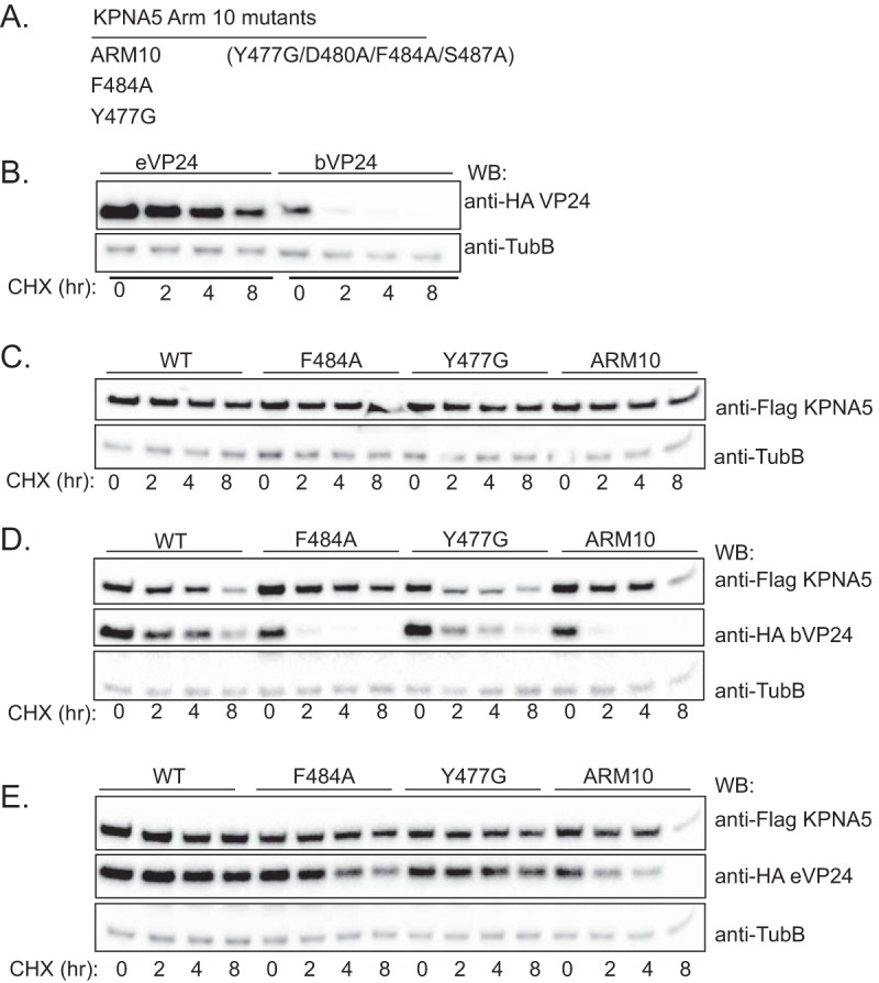 FIG 6