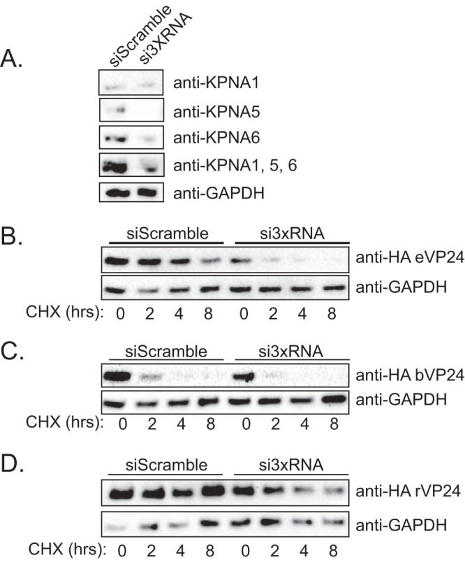 FIG 7