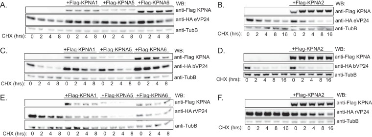 FIG 3