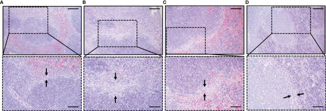 Figure 6