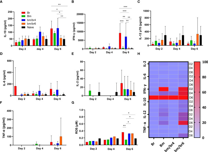 Figure 4