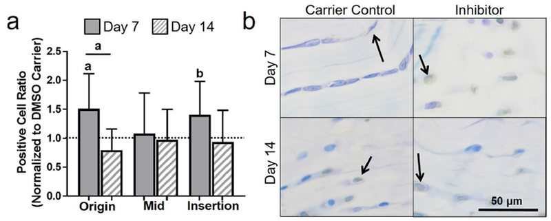 Fig. 9.