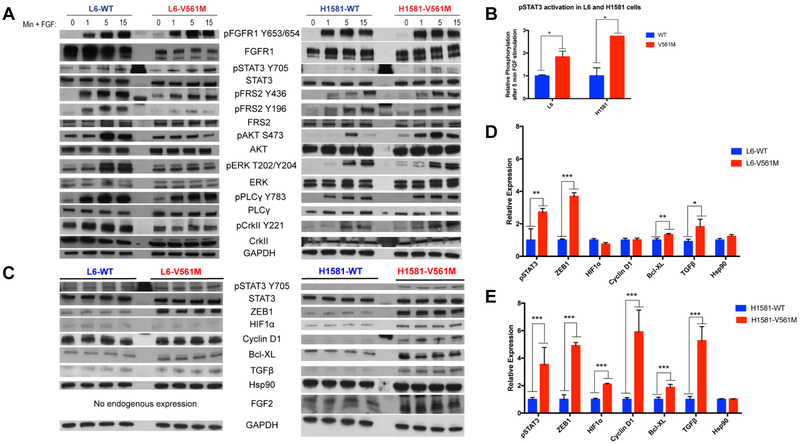 Figure 2: